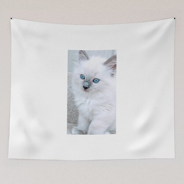 Item preview, Ragdoll kitten designed and sold by Fluffycat2020.