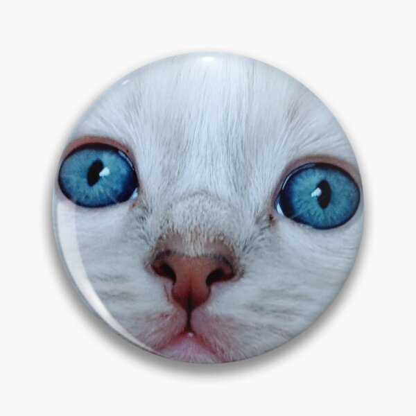 Item preview, Ragdoll kitten designed and sold by Fluffycat2020.