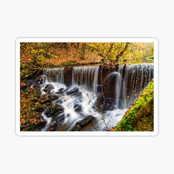 Autumn Forest and Stream Sticker