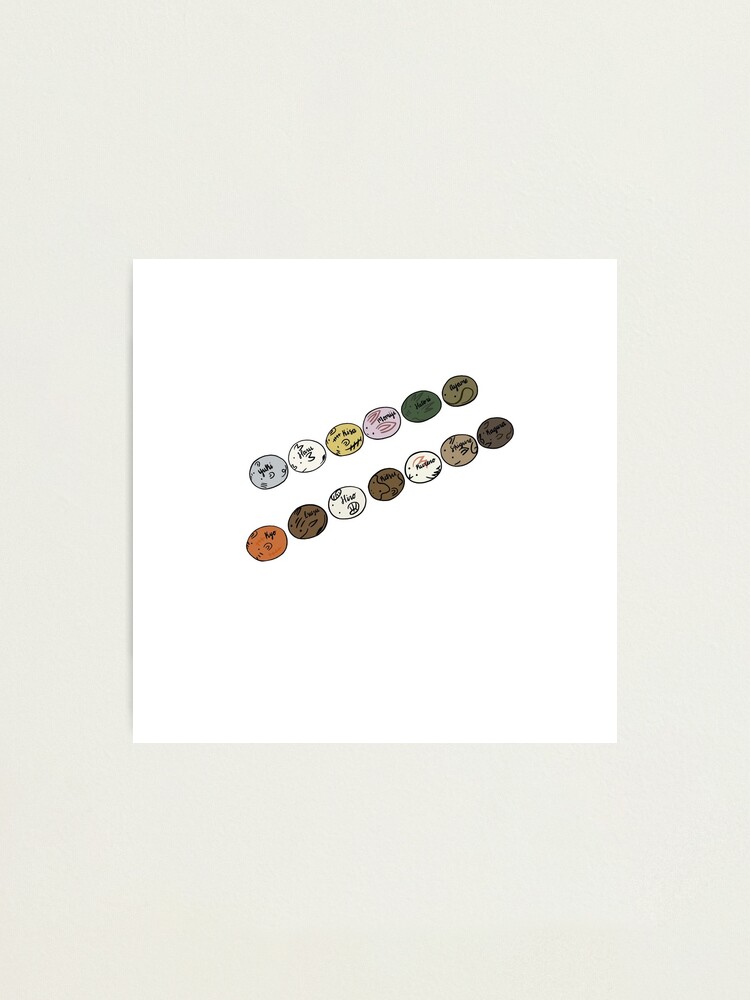 Fruits Basket Zodiac Figurines Photographic Print By Prongsiepop Redbubble