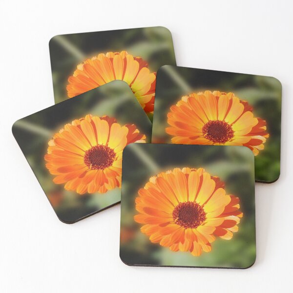 Item preview, Orange Flower Singing for Summer designed and sold by SunriseRose.