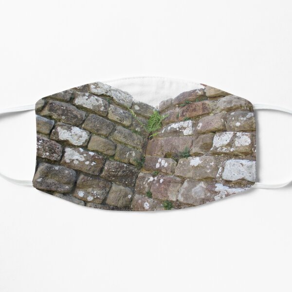 Merch #102 -- The Corner Plants (Hadrian's Wall) Mask