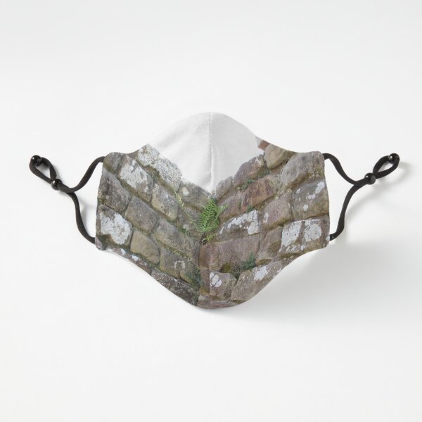 Merch #102 -- The Corner Plants (Hadrian's Wall) Fitted 3-Layer