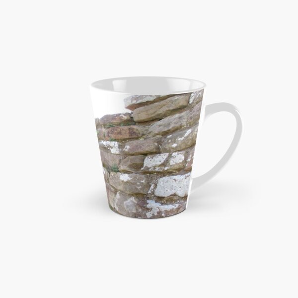 Merch #102 -- The Corner Plants (Hadrian's Wall) Tall Mug