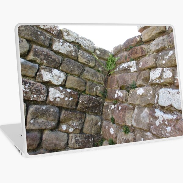 Merch #102 -- The Corner Plants (Hadrian's Wall) Laptop Skin