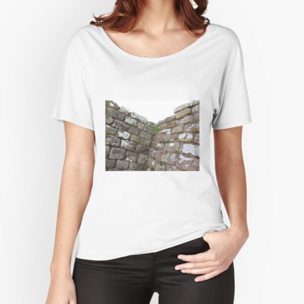Merch #102 -- The Corner Plants (Hadrian's Wall) Relaxed Fit T-Shirt