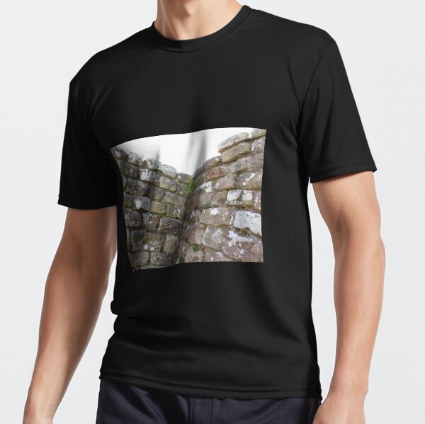 Merch #102 -- The Corner Plants (Hadrian's Wall) Active T-Shirt