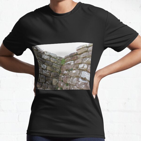 Merch #102 -- The Corner Plants (Hadrian's Wall) Active T-Shirt