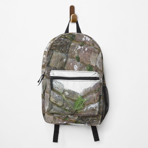 Merch #102 -- The Corner Plants (Hadrian's Wall) Backpack
