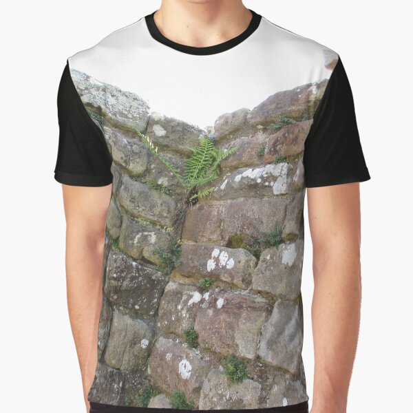 Merch #102 -- The Corner Plants (Hadrian's Wall) Graphic T-Shirt
