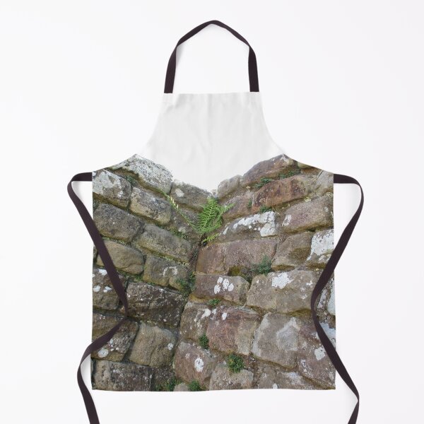 Merch #102 -- The Corner Plants (Hadrian's Wall) Apron