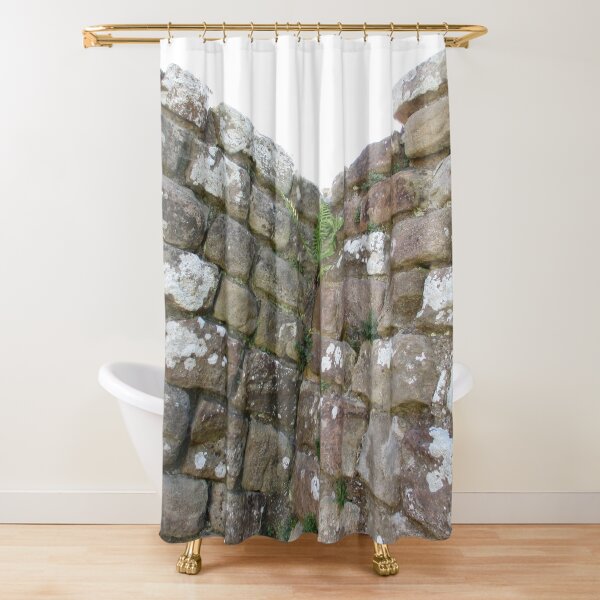 Merch #102 -- The Corner Plants (Hadrian's Wall) Shower Curtain