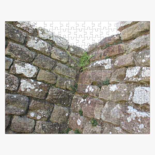 Merch #102 -- The Corner Plants (Hadrian's Wall) Jigsaw Puzzle