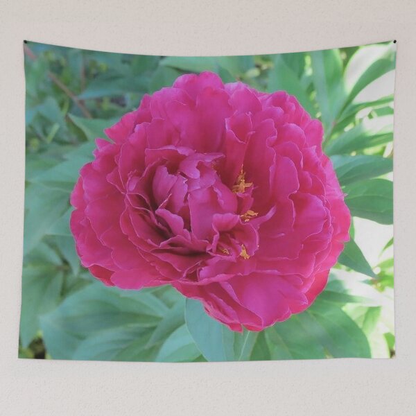 Item preview, Flor de peonía rosa en flor Arte personalizado de fotografía digital designed and sold by DaisyGirlDesign.