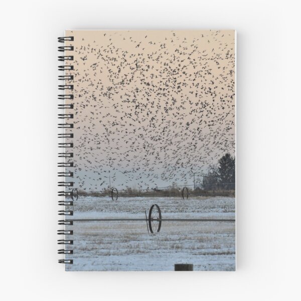 Item preview, Take Off designed and sold by Diane Arndt.