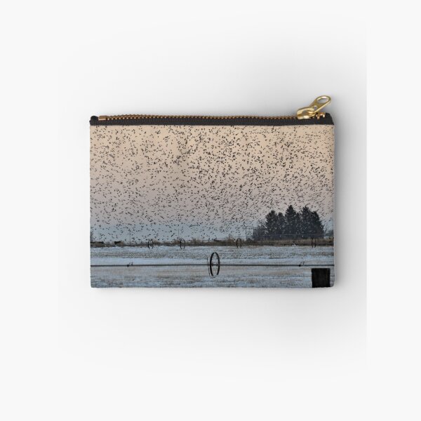 Item preview, Take Off designed and sold by Diane Arndt.