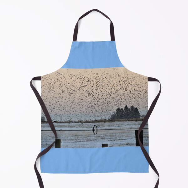 Item preview, Take Off designed and sold by Diane Arndt.
