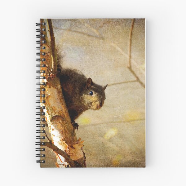 Item preview, Peek-A-Boo!! designed and sold by Lois  Bryan.