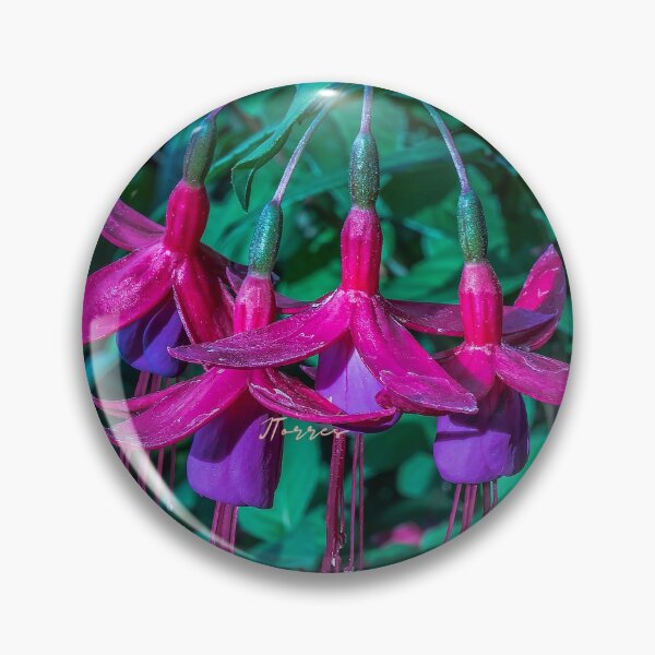 Item preview, Star Bouquet designed and sold by LibrosBOOKtique.
