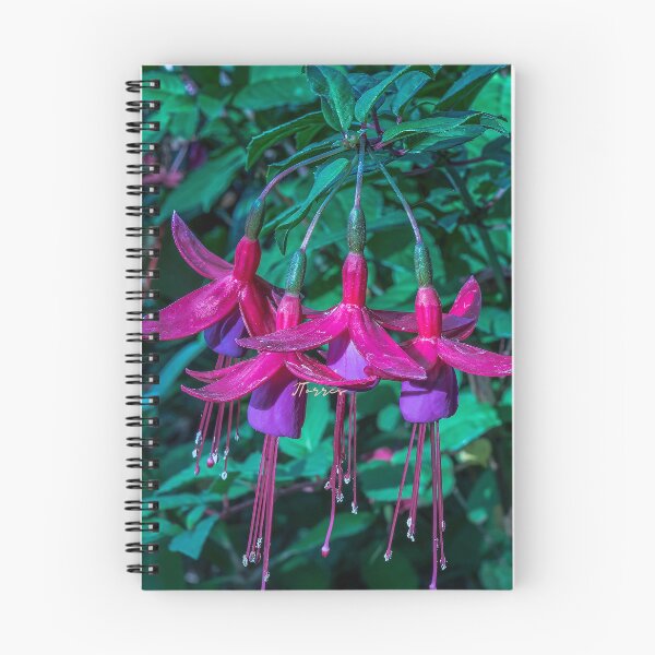 Item preview, Star Bouquet designed and sold by LibrosBOOKtique.
