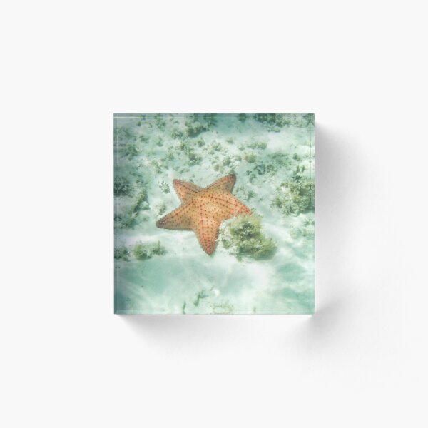 Starfish Under the Ocean Acrylic Block