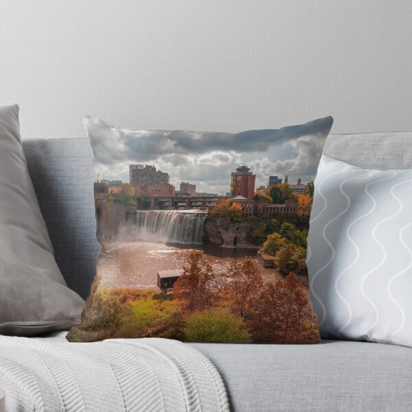 Item preview, Rochester, New York designed and sold by Under The Radar Van.
