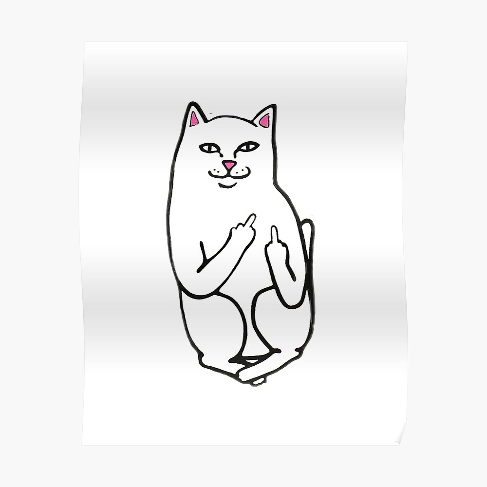 Ripndip Katze