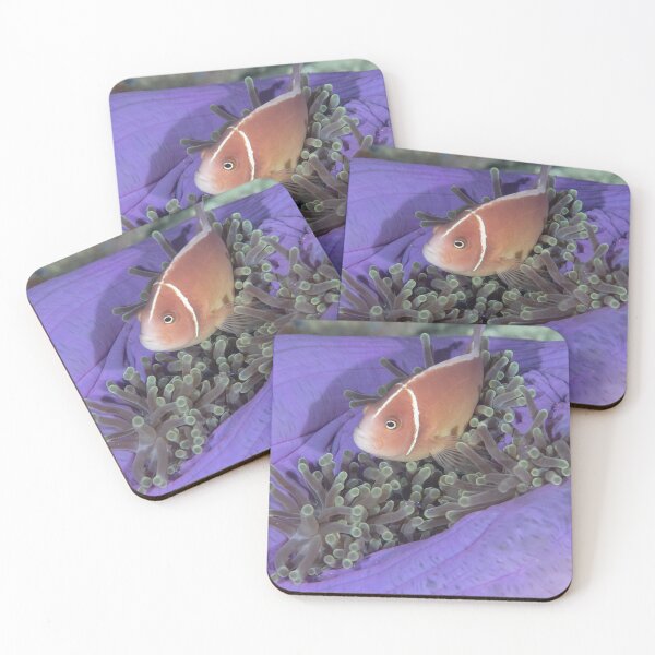 Item preview, Pink Anemonefish in Purple Anemone designed and sold by Mark Rosenstein.