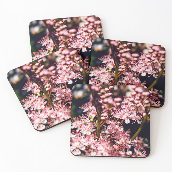 Item preview, Tender Queen of the Prairie flowers also known as Filipendula pink blossoms blooming in summer.  designed and sold by FENIO.
