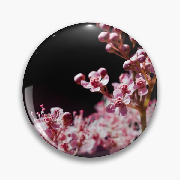 Item preview, Tender Queen of the Prairie flowers also known as Filipendula pink blossoms.  designed and sold by FENIO.