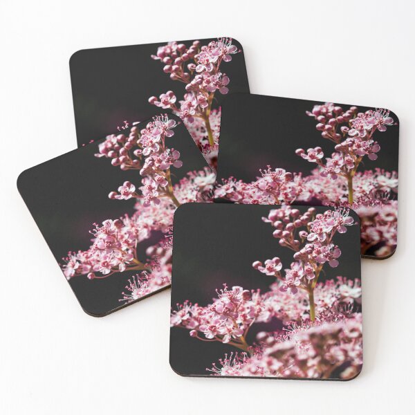 Item preview, Tender Queen of the Prairie flowers also known as Filipendula pink blossoms.  designed and sold by FENIO.
