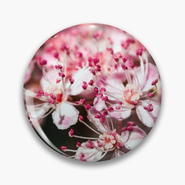 Item preview, Tender Queen of the Prairie flowers also known as Filipendula pink blossoms.  designed and sold by FENIO.