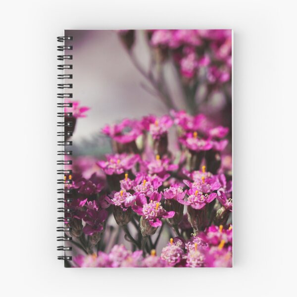 Item preview, Pink Yarrow, also known as Achillea millefolium blossoms blooming in summer.  designed and sold by FENIO.