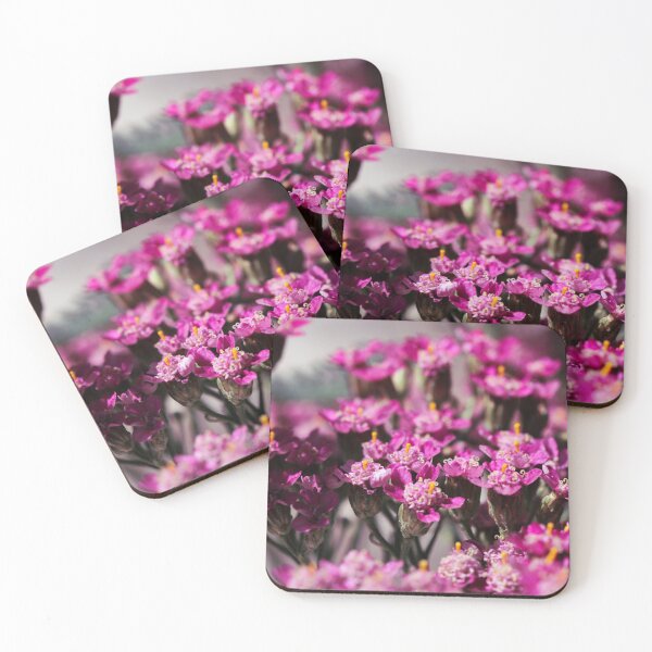 Item preview, Pink Yarrow, also known as Achillea millefolium blossoms blooming in summer.  designed and sold by FENIO.