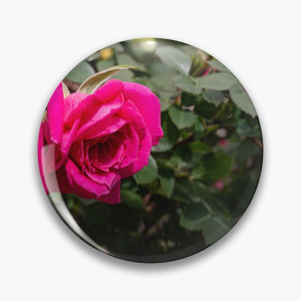 Item preview, Single pink flower blossomed in a garden designed and sold by Bradley Buckmaster.