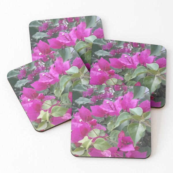 Item preview, Bougainvillea Plantae Plant designed and sold by HnLStore.