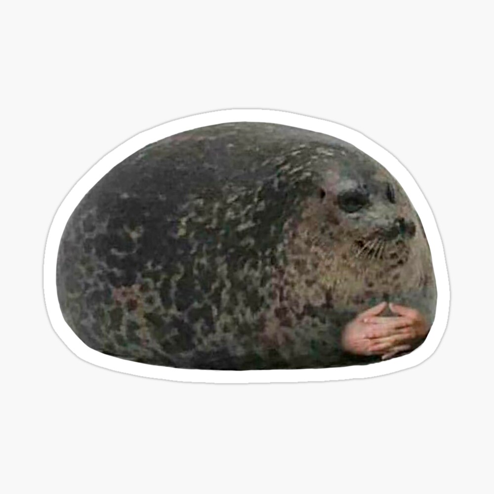 Chonky Fat Seal Meme