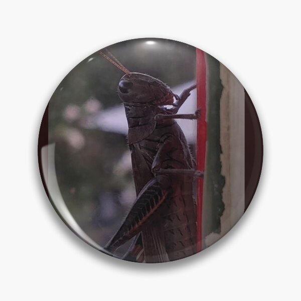 Item preview, grasshopper profile designed and sold by Cagedheart15.