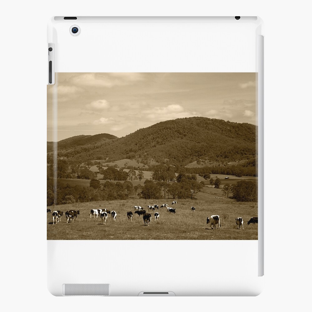 Friesian Cows iPad Case & Skin