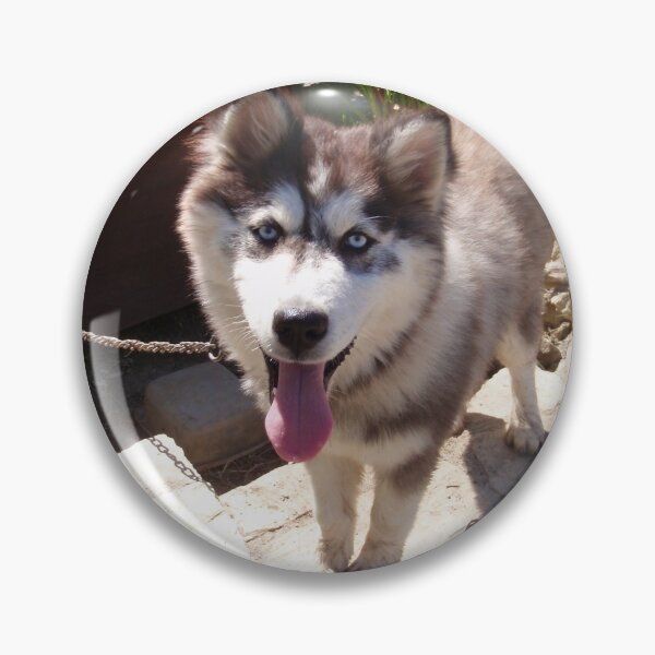Item preview, Husky Sam designed and sold by Malcolm Snook.