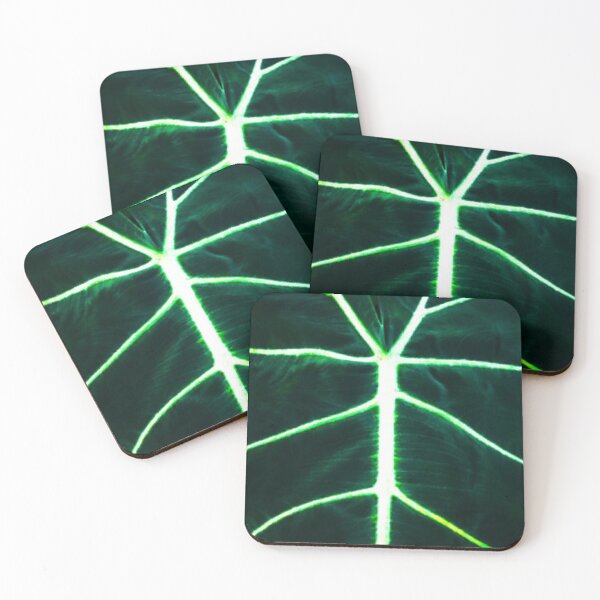 Item preview, Alocasia polly designed and sold by Beeffervescent.