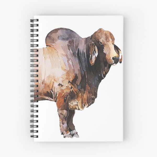 Item preview, Brahman Bull,Brahman Cattle designed and sold by EdsWatercolours.