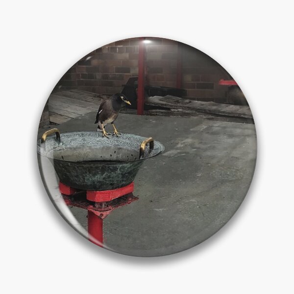 Item preview, Myna designed and sold by goodieg.
