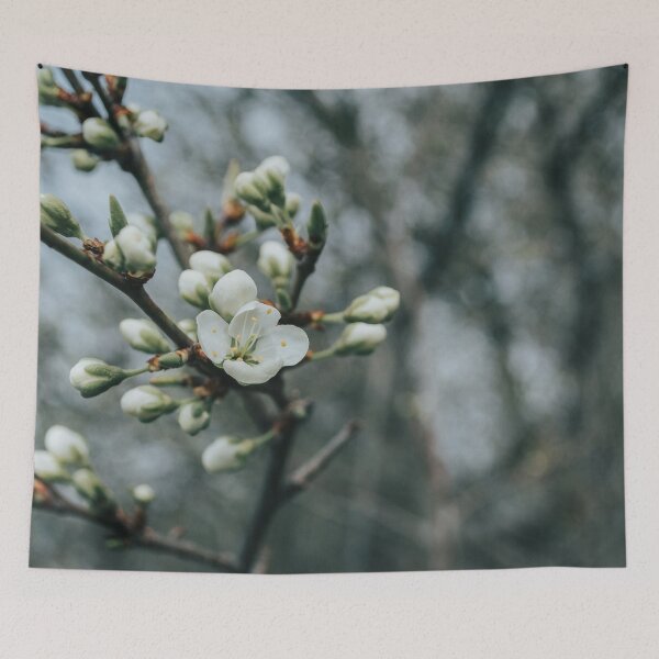 Item preview, Delicate white spring blossoms designed and sold by VieClaud.