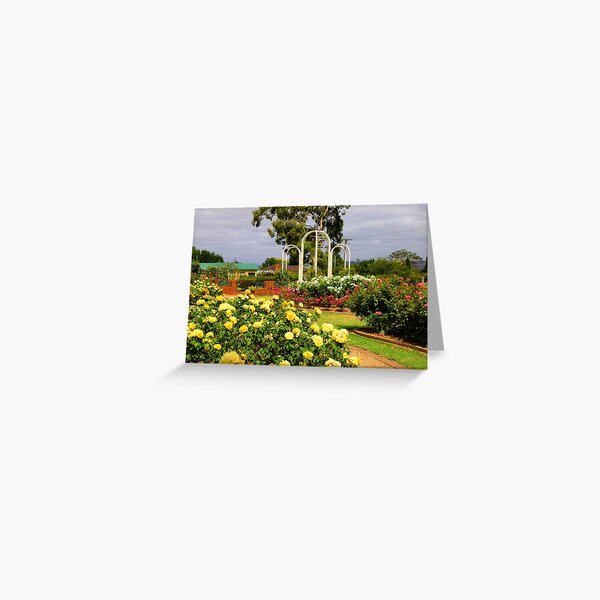 Sunny Roses Greeting Card