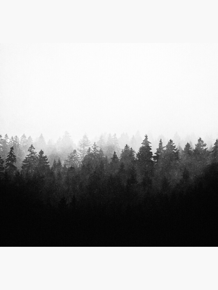 A Wilderness Somewhere by tekay
