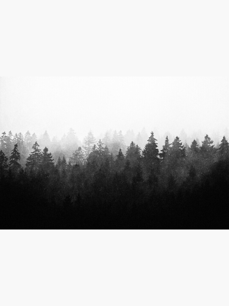 A Wilderness Somewhere by tekay