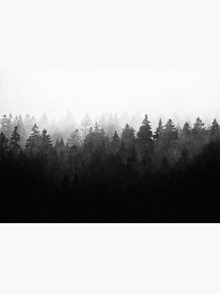 A Wilderness Somewhere by tekay