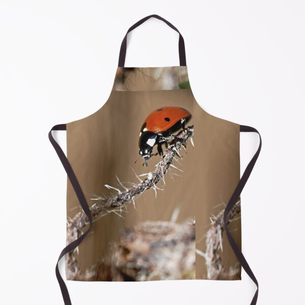 Item preview, the Star : (2) coccinelle-ladybug by Olao-Olavia / Okaio Créations 2015 by fz 1000 400.000 photos framings different picture on request on each support designed and sold by o.okaïo.