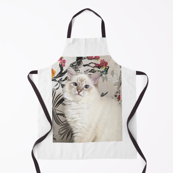 Item preview, Saoirse ragdoll designed and sold by Fluffycat2020.